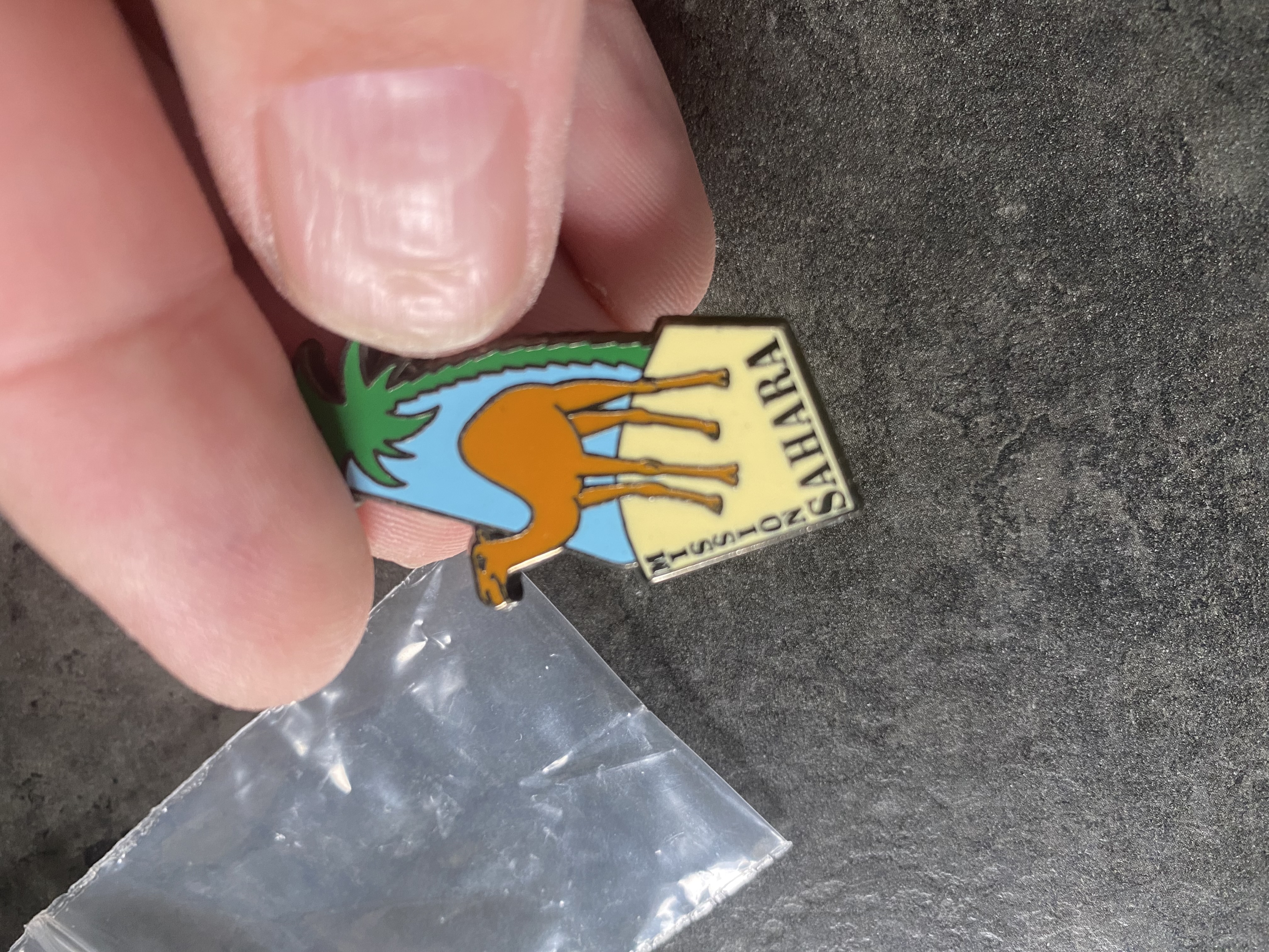 Pin’s Sahara club Dorothée